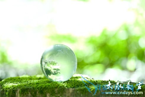 ��������˯������Ӧ�Է���(1)