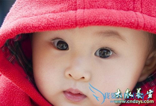 7����ʳϸ���ö�ͯԶ�����(7)