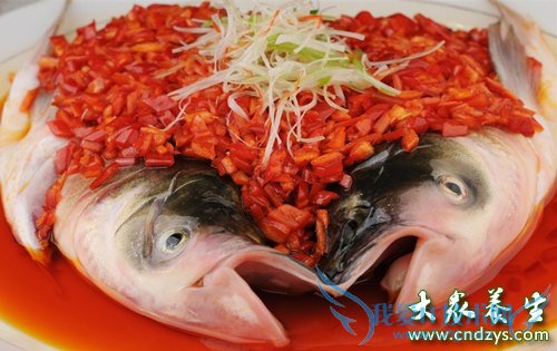 �����ܳ���ͷ��  