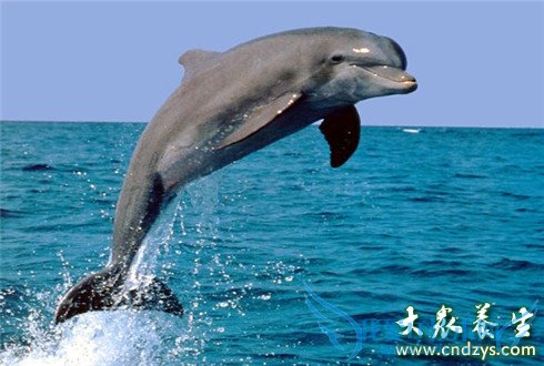 �����������̥�� ���������(3)