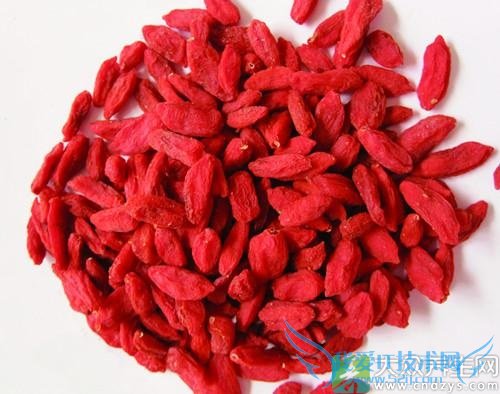 4�������� ƽ��Ů���ڷ���(3)