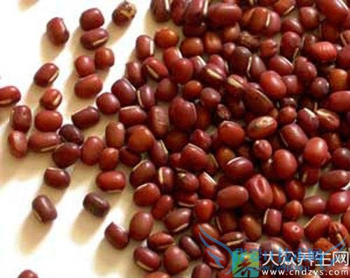 ��Ѫѹ�ܳԳ�С����