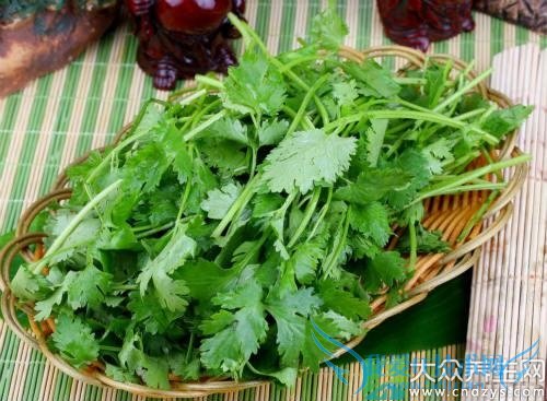 ��Ѫѹ�ܳ������