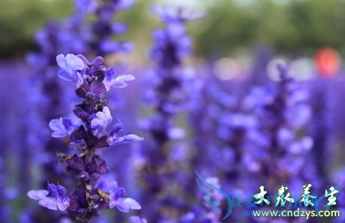 Ů����7����ζ����Ч(6)