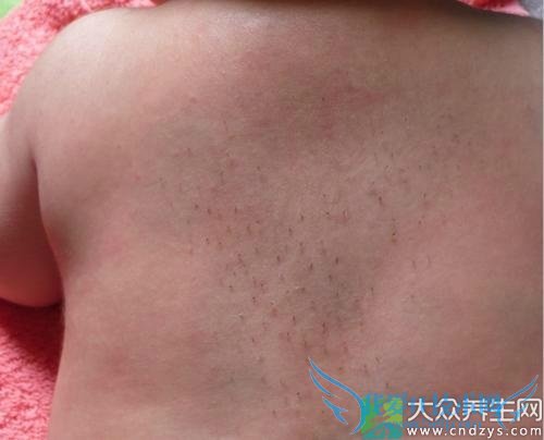  ��̥����ʲô