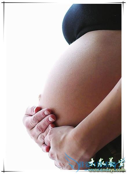 ٹƵô죬ЩҪǿעأ(2)