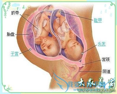 ˫̥ķ̣רҽ˫̥ʮܵķ(2)