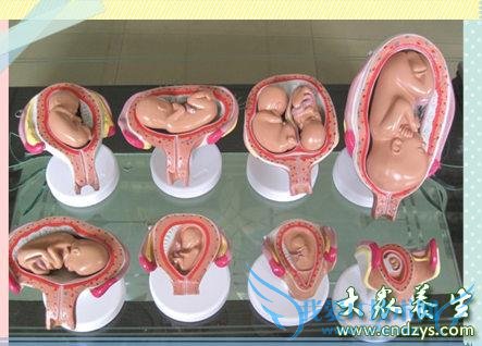 ˫̥ķ̣רҽ˫̥ʮܵķ(1)