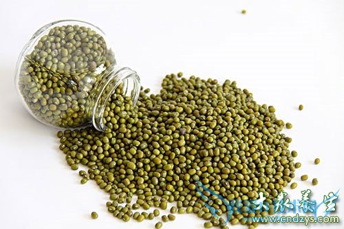 ļ13ʶ峿벻˳ಲ̰(2)