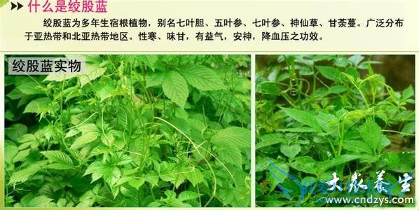 ʮ󾭵俹˥ҩ󹫿(4)