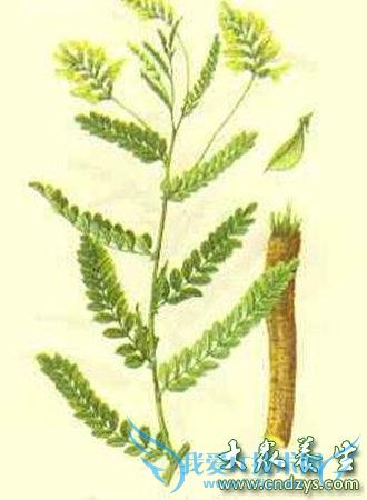 ʮ󾭵俹˥ҩ󹫿(1)