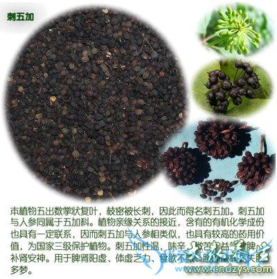 ʮ󾭵俹˥ҩ󹫿(2)