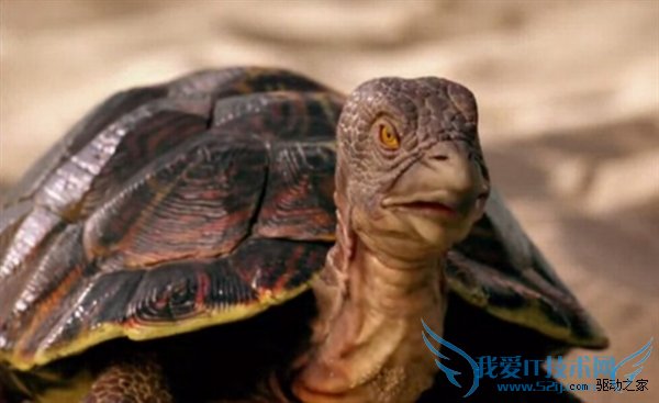 宽带商:要什么10M?4M就足够了!