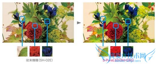 ձֻЩ£׿ЭŮTouchƻ