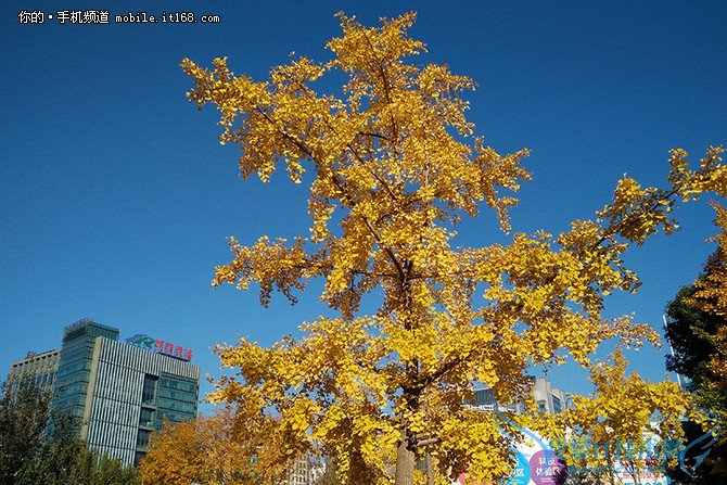 一加手机x长体验