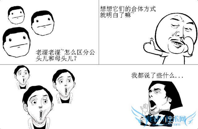 usbtypec˵9ֳýӿ㶼˽