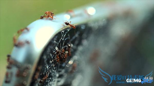 巨屏撞击Galaxy S6撞上iPad Pro 会怎样!