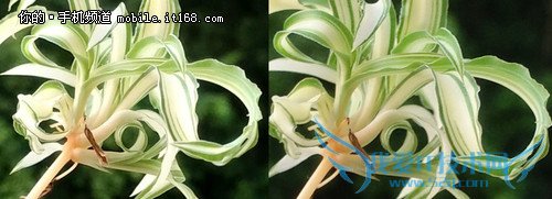 4KƵͼ󣩡1300ʵƬͼң