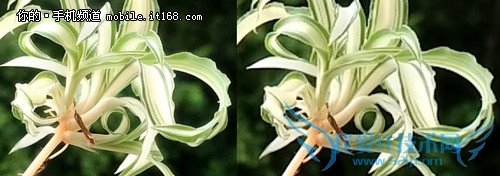 vivo XshotʵƵͼ4K󣩡1080Pң