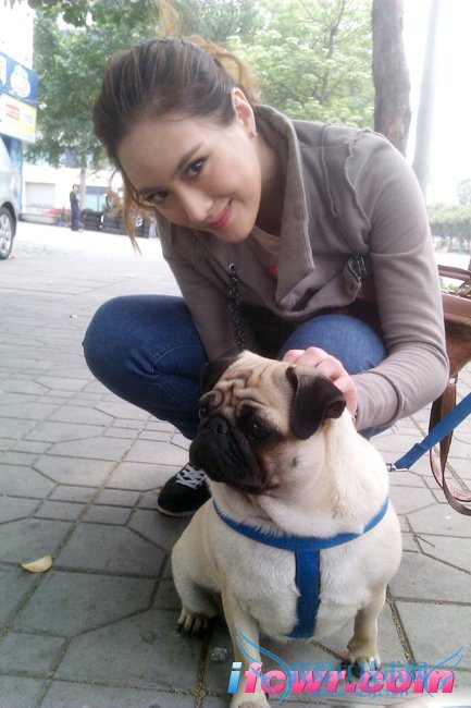 非诚勿扰12号女嘉宾方妮努尔照片