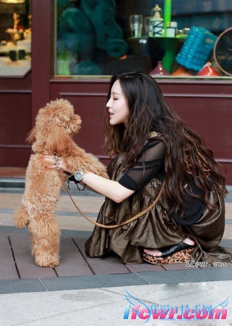 非诚勿扰16号女嘉宾张丹丹照片