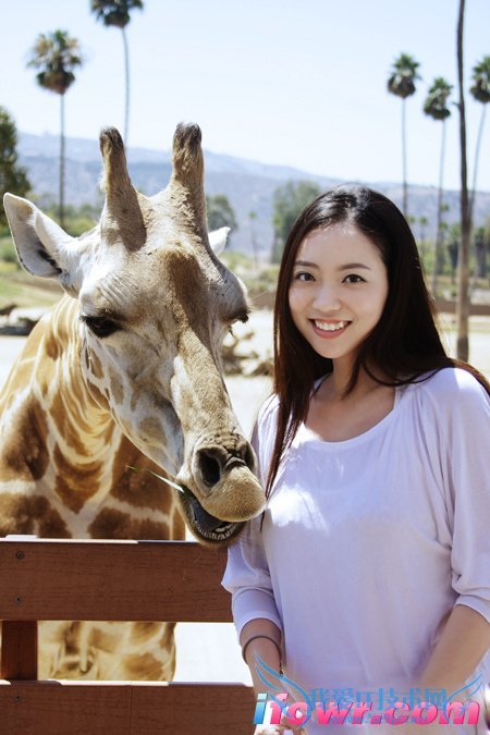 非诚勿扰15号女嘉宾巩京京照片