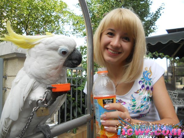 非诚勿扰8号女嘉宾李娜