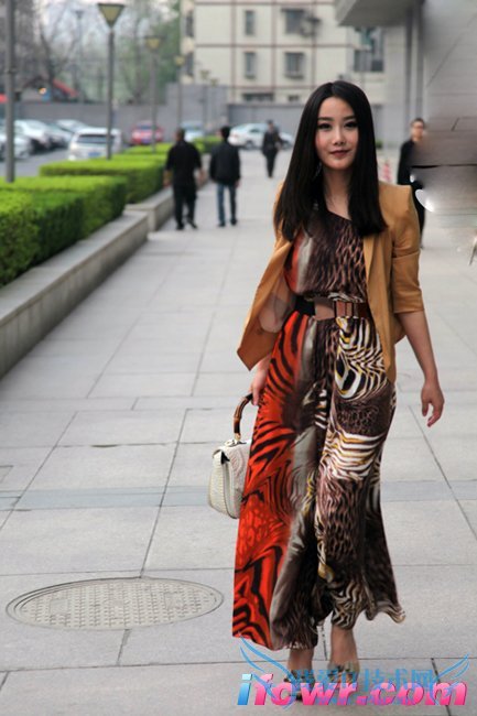 非诚勿扰丁丽丽照片