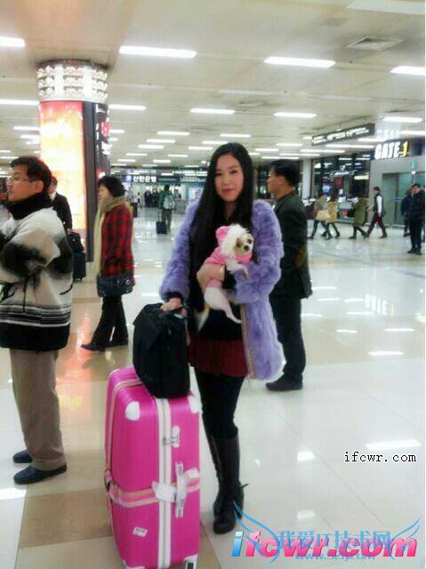 非诚勿扰女嘉宾金佳妮照片