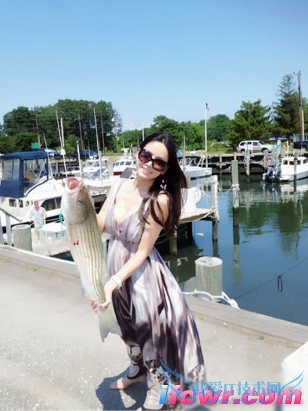 非诚勿扰俞荷芳照片