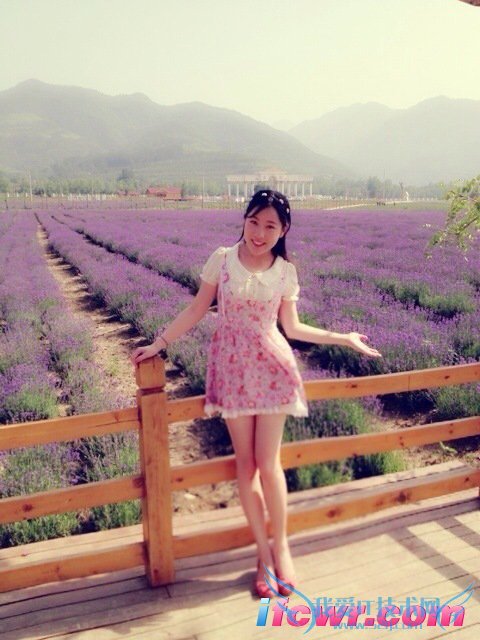 非诚勿扰5号女嘉宾尹佳照片