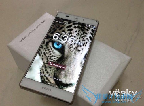 泛泰Vega Iron A870L/S/K