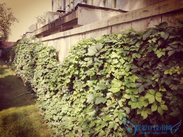 6寸大屏指纹识别全金属华为Mate7评测