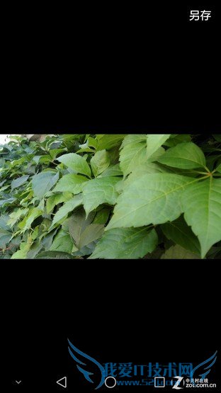 6寸大屏指纹识别全金属华为Mate7评测