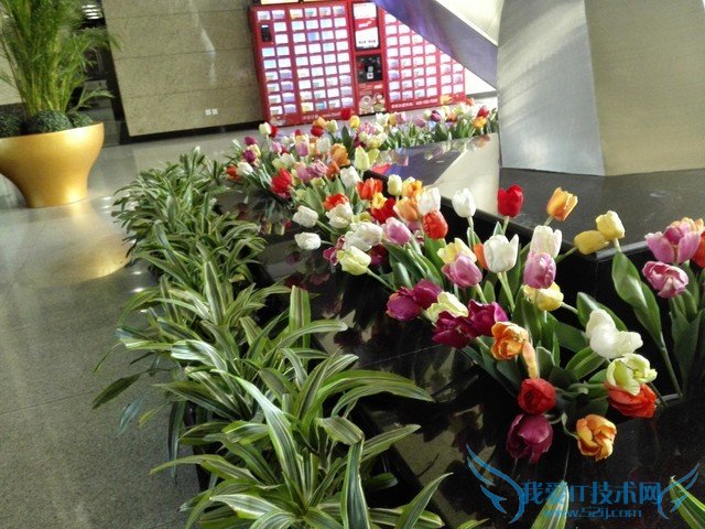 6寸大屏指纹识别全金属华为Mate7评测