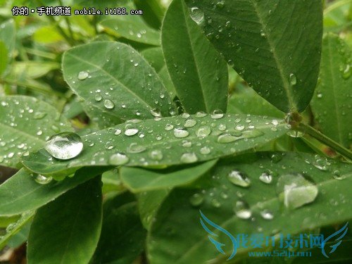 ▲虽然下雨让人心烦,但是不下雨的闷热同样难受。(照片BY一加手机)