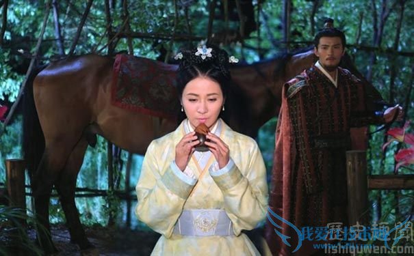 卫青与平阳公主 卫青与平阳公主