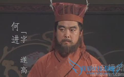 何进的影视形象 何进的影视形象