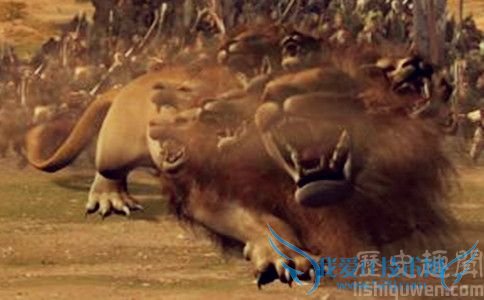 Ì«ÒÒÕæÈË×øÆï Ì«ÒÒÕæÈË×øÆï