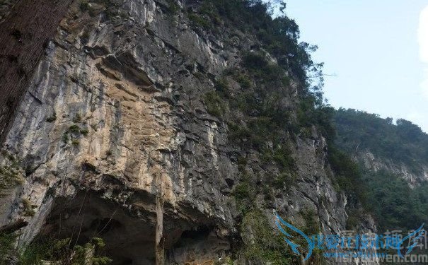 ½ð¹â¶´Í¼ ½ð¹â¶´Í¼