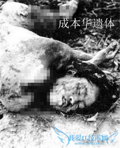 成本华受过哪些刑 成本华视死如归被残酷杀害 成本华受过哪些刑 成本华视死如归被残酷杀害
