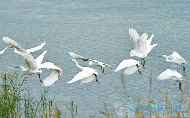 ðØð¸ ¶ÅÄÁ ðØð¸ ¶ÅÄÁ