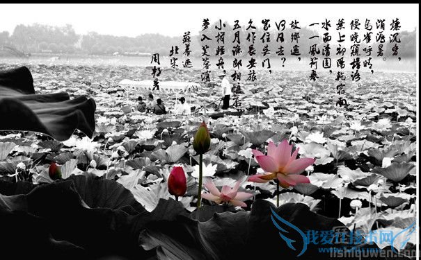 《苏幕遮·燎沉香》周邦彦 《苏幕遮·燎沉香》周邦彦