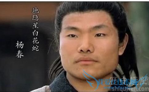 ¡¶Ë®ä°´«¡·Ñî´º¾çÕÕ ¡¶Ë®ä°´«¡·Ñî´º¾çÕÕ