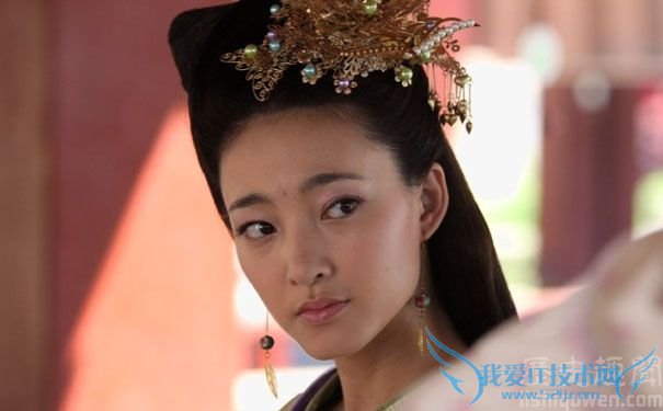 王丽坤版慎夫人 王丽坤版慎夫人