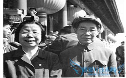 陈少敏受了哪位高层领导的冷遇 陈少敏下场 陈少敏受了哪位高层领导的冷遇 陈少敏下场