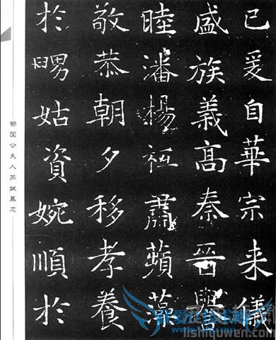 尉迟恭老婆苏娬墓志铭 尉迟恭老婆苏娬墓志铭