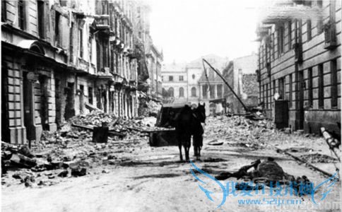 ²¨À¼Õ½Ò۵ı³¾°Óë½á¹û ²¨À¼Õ½ÒÛµÄÓ°Ïì ²¨À¼Õ½Ò۵ı³¾°Óë½á¹û ²¨À¼Õ½ÒÛµÄÓ°Ïì