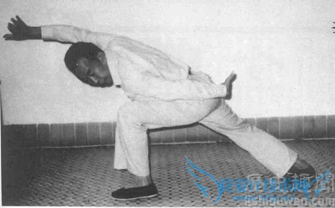 王芗斋练功 王芗斋练功