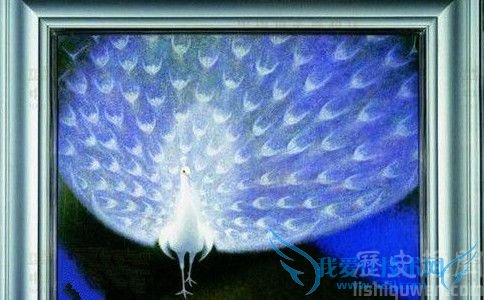 杉山宁的简介 杉山宁的评价如何 杉山宁的简介 杉山宁的评价如何